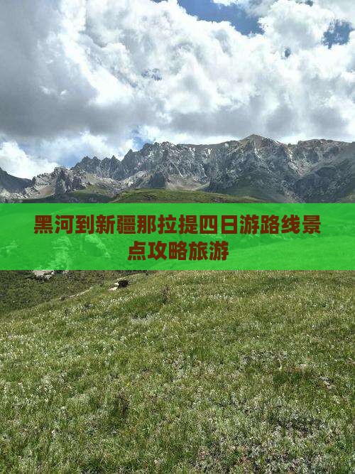 黑河到新疆那拉提四日游