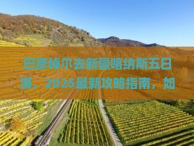 巴彦倬尔去新疆喀纳斯五日游