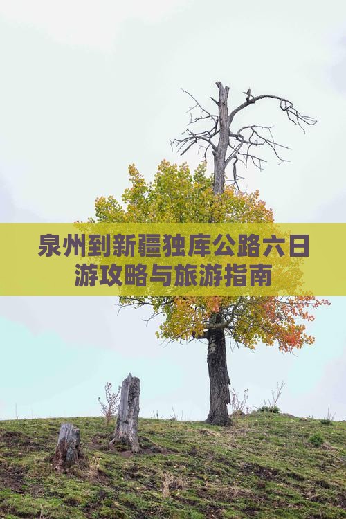 泉州到新疆独库公路六日游