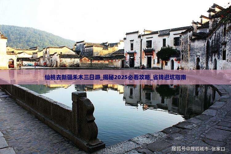 仙桃去新疆禾木三日游