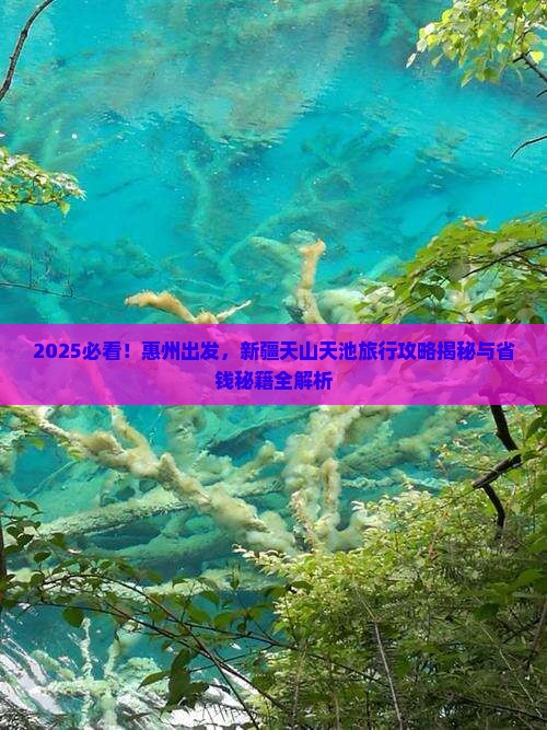 惠州到新疆天山天池旅行社