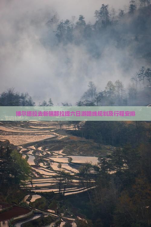 博尔塔拉去新疆那拉提六日游