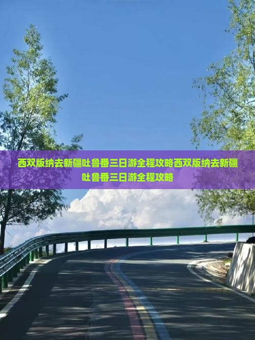 西双版纳去新疆吐鲁番三日游