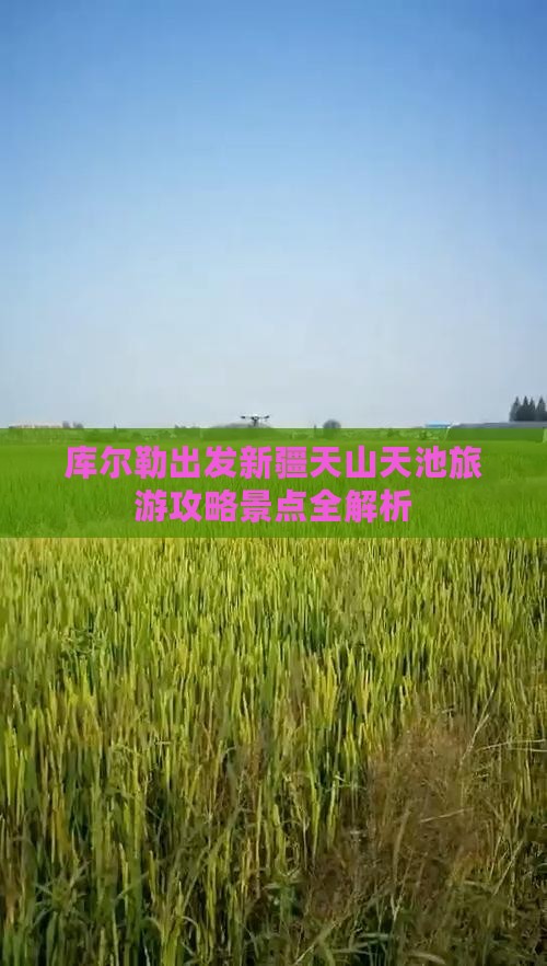 库尔勒去新疆天山天池一日