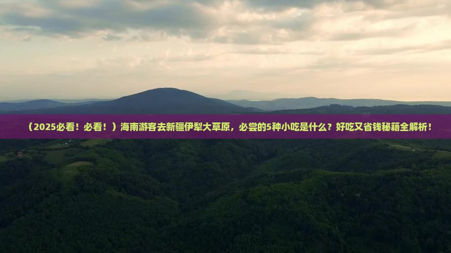 海南去新疆伊犁大草原旅游小吃