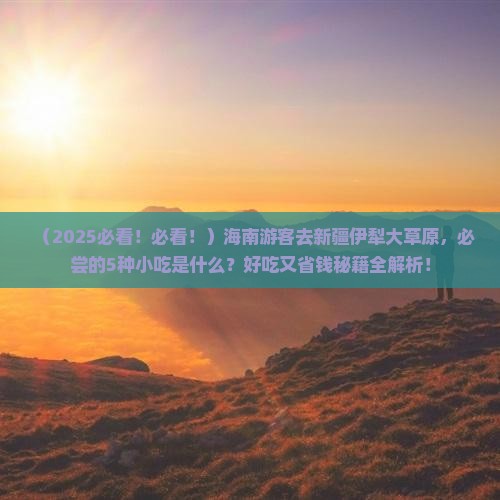 海南去新疆伊犁大草原旅游小吃