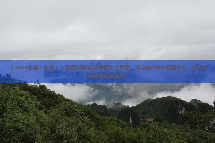 海南去新疆伊犁大草原旅游小吃