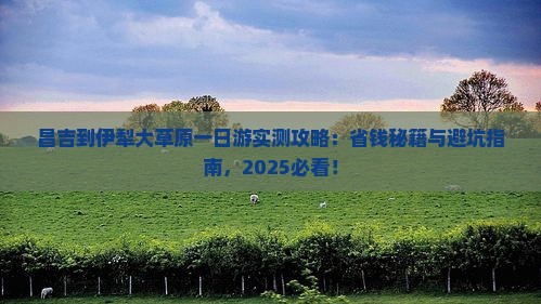 昌吉到新疆伊犁大草原一日