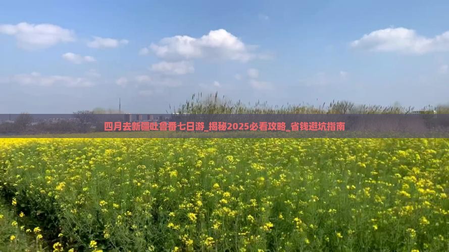 四月去新疆吐鲁番七日游