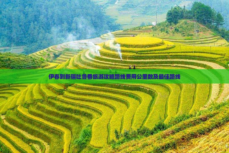 伊春到新疆吐鲁番旅游
