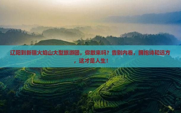 辽阳到新疆火焰山大型旅游团