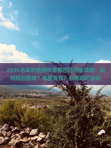 吕梁到新疆吐鲁番四日游
