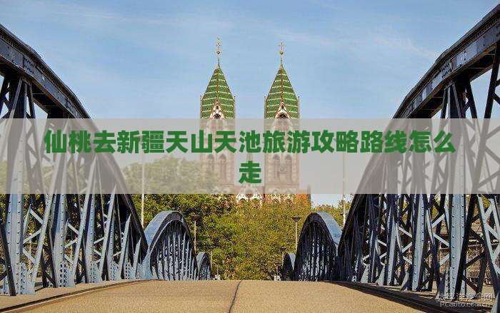 仙桃去新疆天山天池旅游