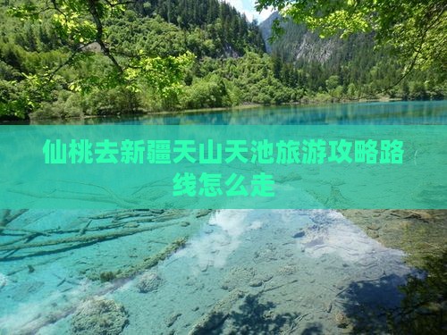 仙桃去新疆天山天池旅游