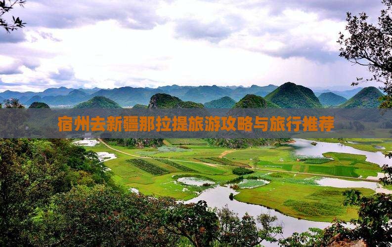 宿州去新疆那拉提旅行社