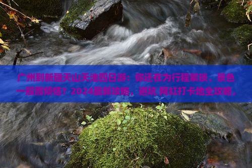 广州到新疆天山天池四日游