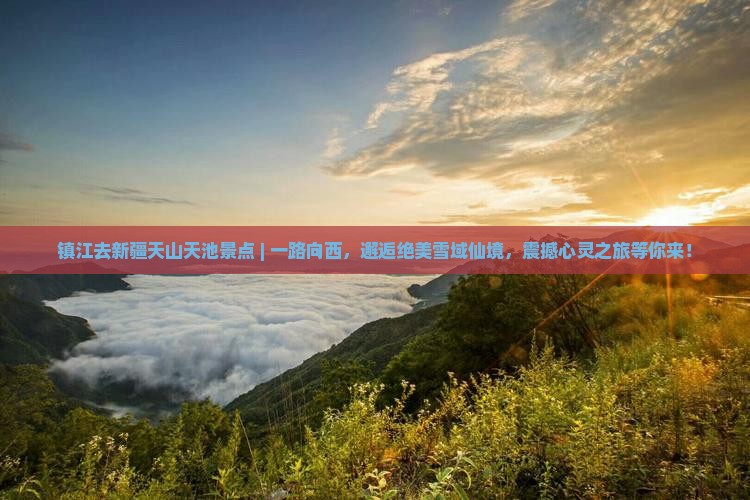 镇江去新疆天山天池景点