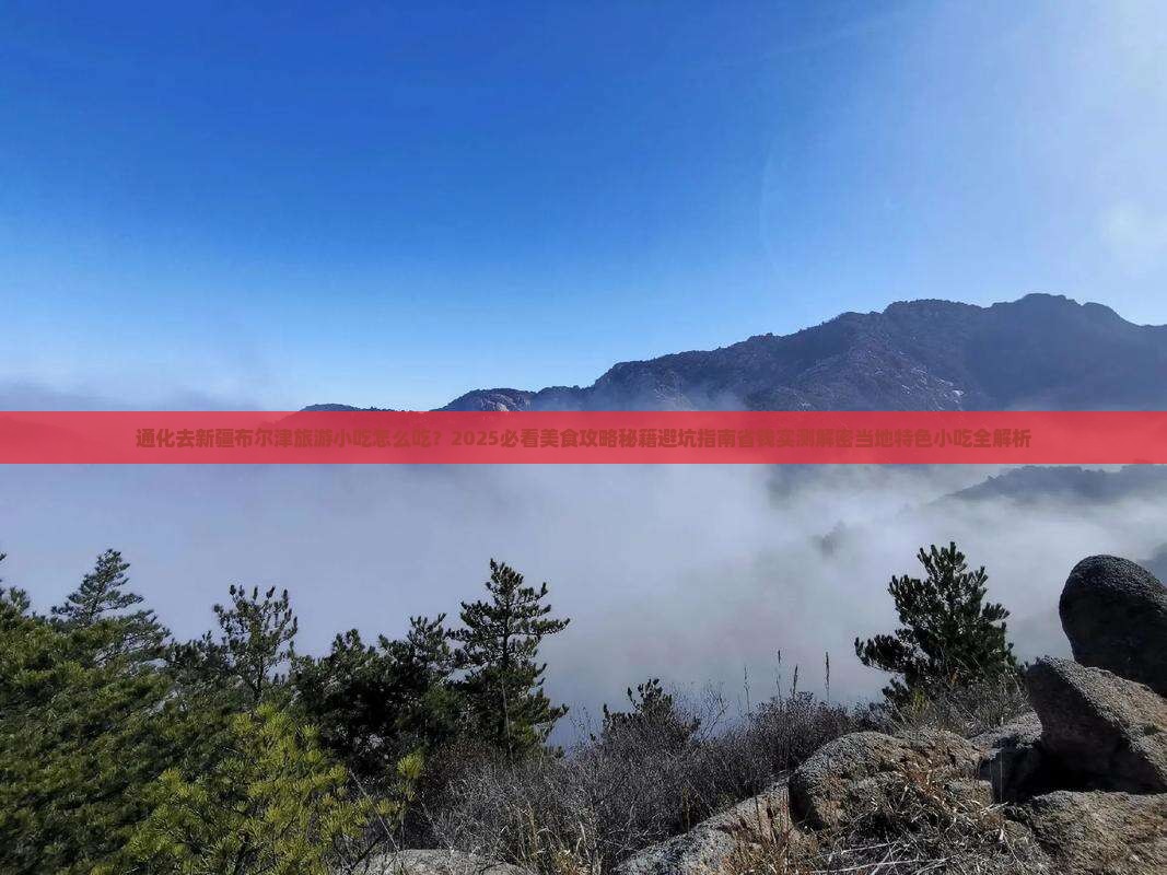 通化去新疆布尔津旅游小吃