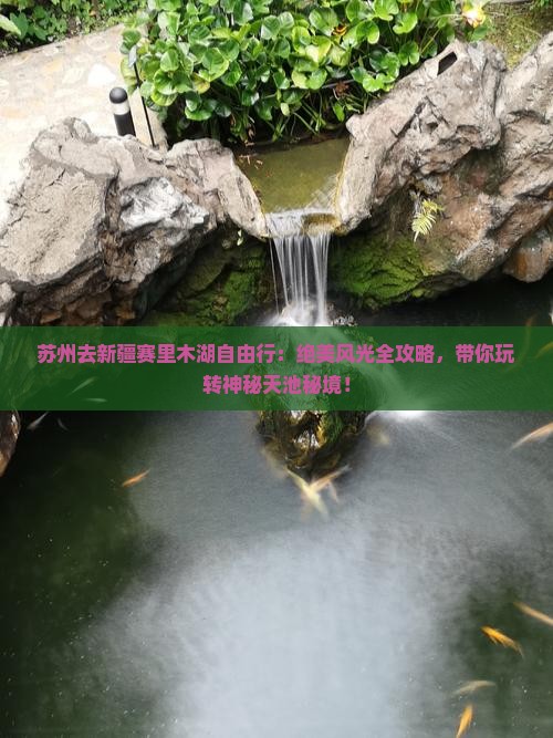 苏州去新疆赛里木湖自由行