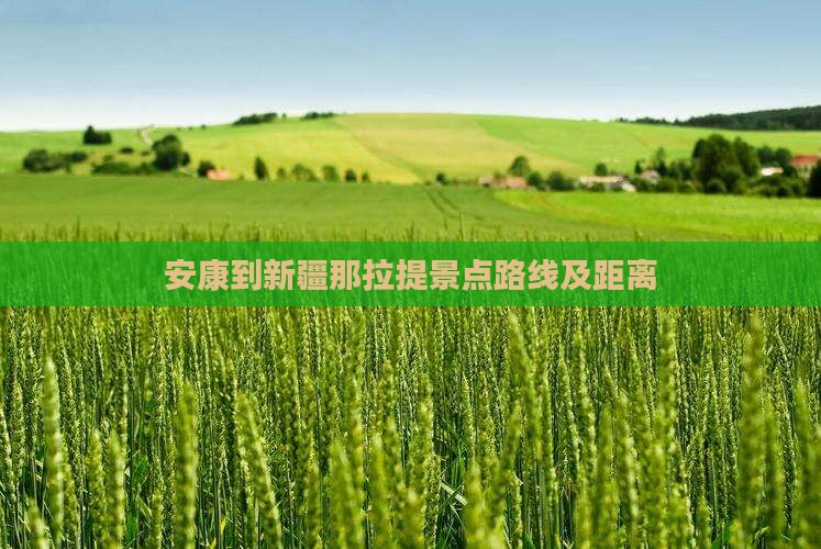 安康到新疆那拉提景点