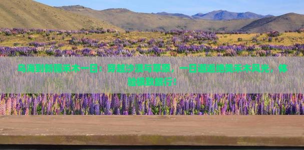 乌海到新疆禾木一日
