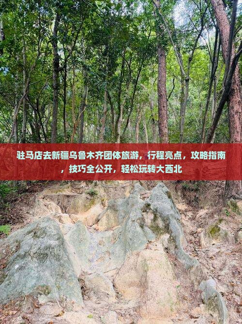 驻马店去新疆乌鲁木齐团体旅游
