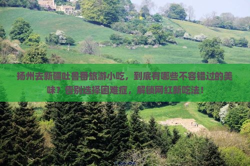 扬州去新疆吐鲁番旅游小吃