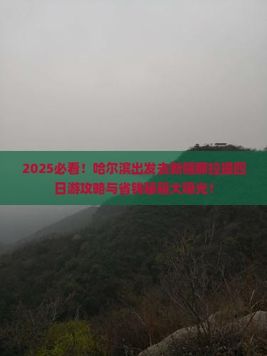 哈尔滨去新疆那拉提四日游