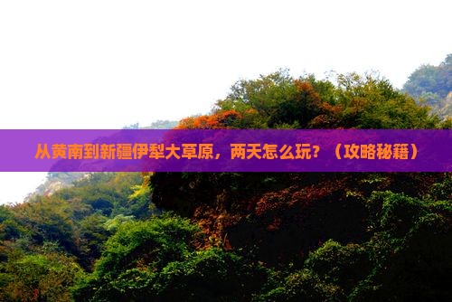 黄南到新疆伊犁大草原二日游