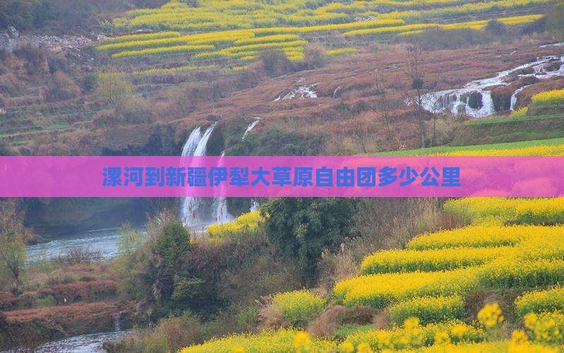 漯河到新疆伊犁大草原自由团