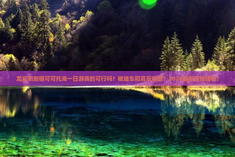 龙岩到新疆可可托海一日