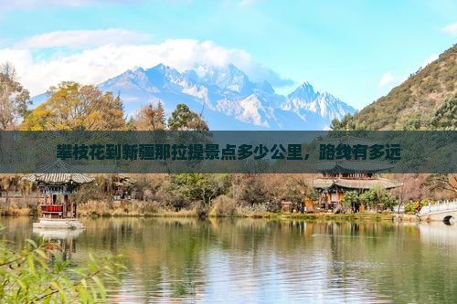 攀枝花到新疆那拉提景点