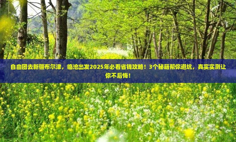 临沧到新疆布尔津自由团