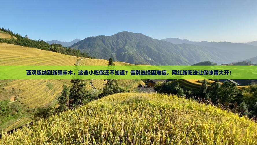 西双版纳到新疆禾木旅游小吃