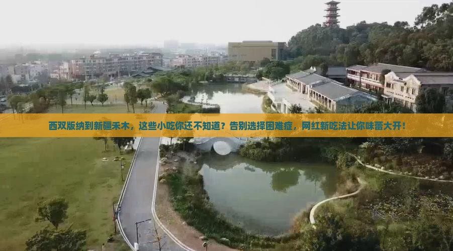 西双版纳到新疆禾木旅游小吃