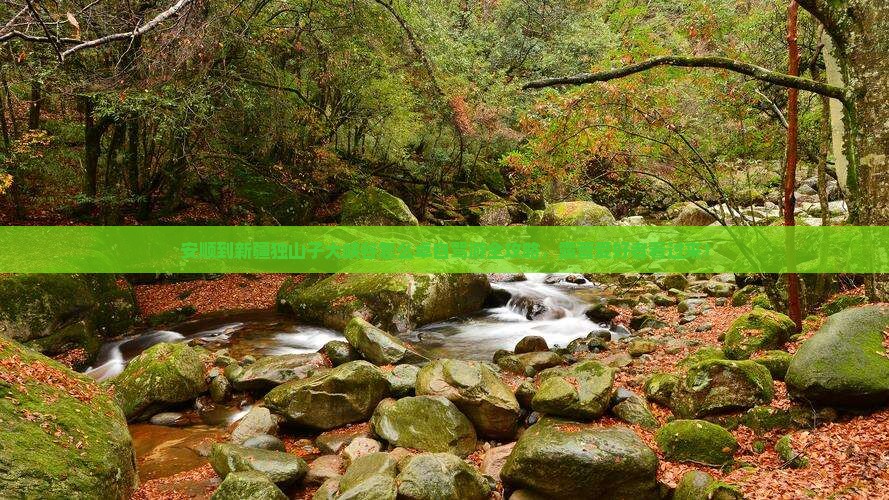 安顺到新疆独山子大峡谷怎么卓自驾游全攻略，露营爱好者看过来！