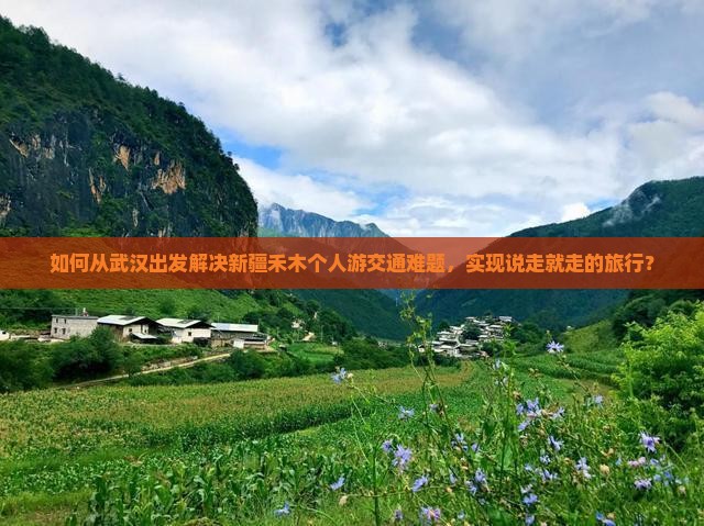 如何从武汉出发解决新疆禾木个人游交通难题，实现说走就走的旅行？