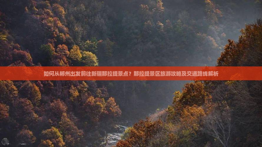 如何从郴州出发前往新疆那拉提景点？那拉提景区旅游攻略及交通路线解析