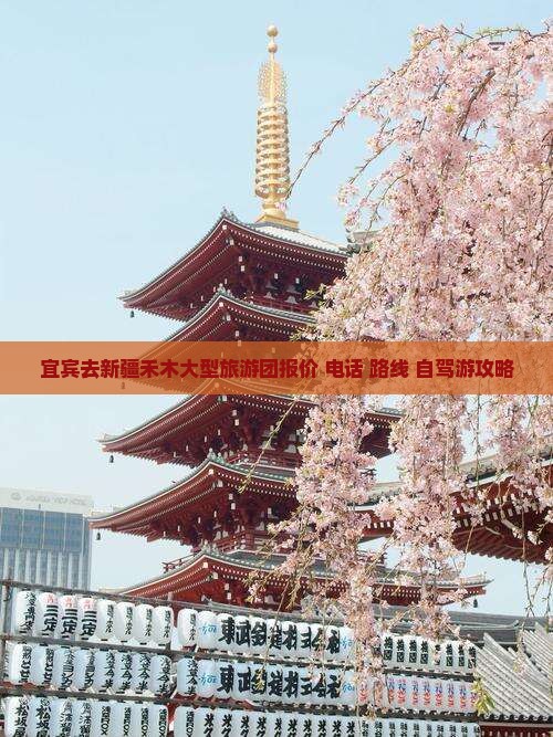 宜宾去新疆禾木大型旅游团报价+电话+路线+自驾游攻略