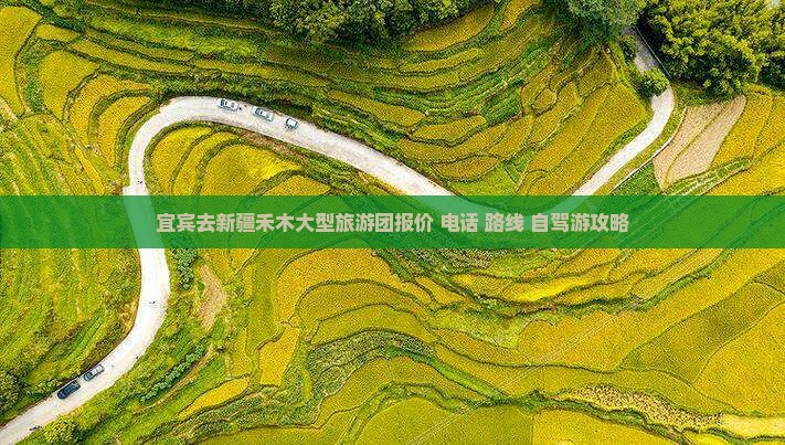 宜宾去新疆禾木大型旅游团报价+电话+路线+自驾游攻略