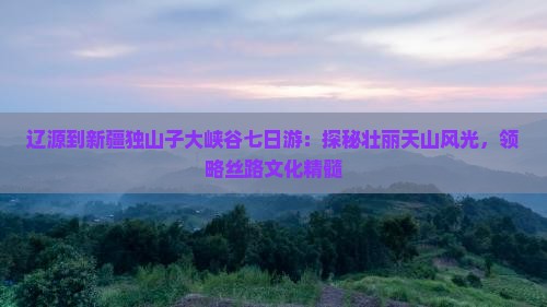 辽源到新疆独山子大峡谷七日游：探秘壮丽天山风光，领略丝路文化精髓