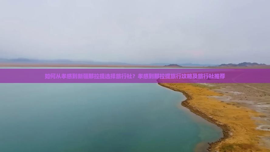 如何从孝感到新疆那拉提选择旅行社？孝感到那拉提旅行攻略及旅行社推荐