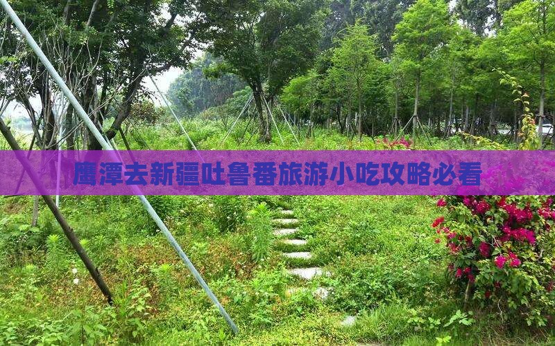 鹰潭去新疆吐鲁番旅游小吃攻略必看