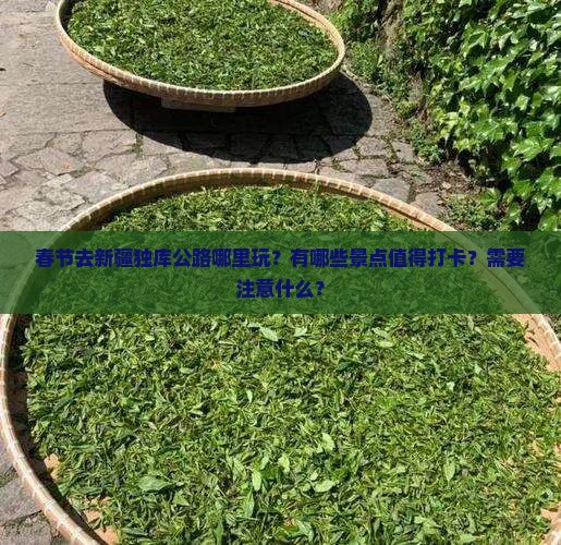 春节去新疆独库公路哪里玩？有哪些景点值得打卡？需要注意什么？