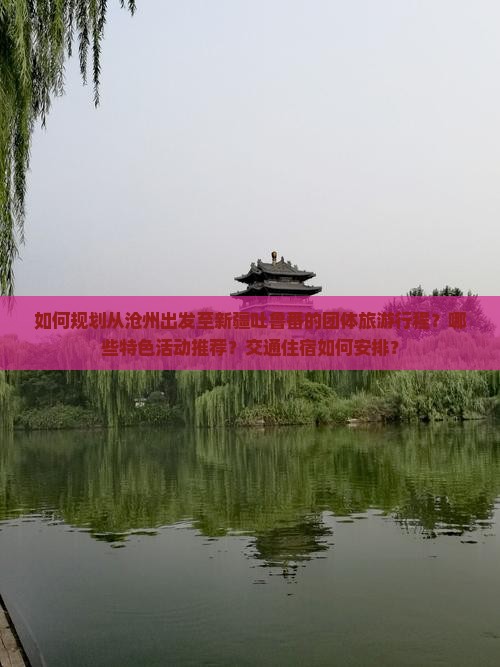 如何规划从沧州出发至新疆吐鲁番的团体旅游行程？哪些特色活动推荐？交通住宿如何安排？
