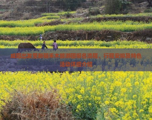 咸阳出发至新疆禾木旅游团报名流程、行程安排及特色活动详细介绍