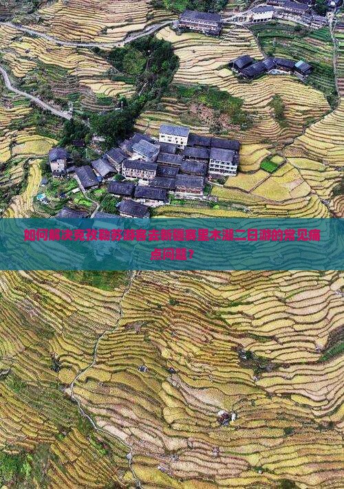 如何解决克孜勒苏游客去新疆赛里木湖二日游的常见痛点问题？