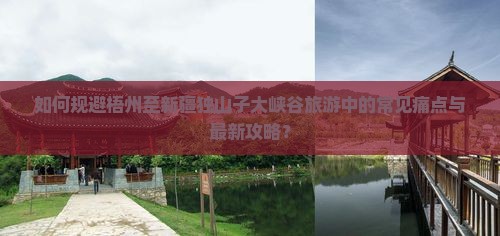 如何规避梧州至新疆独山子大峡谷旅游中的常见痛点与最新攻略？