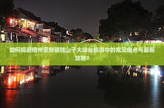 如何规避梧州至新疆独山子大峡谷旅游中的常见痛点与最新攻略？