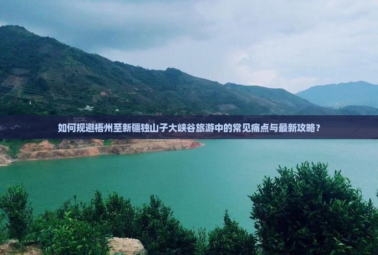 如何规避梧州至新疆独山子大峡谷旅游中的常见痛点与最新攻略？